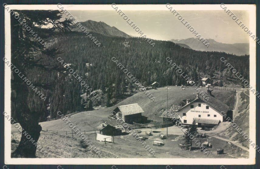 Bolzano Merano Foto cartolina ZT9203 – fronte