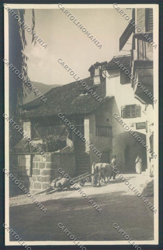 Bolzano Merano Foto cartolina ZT9206 – fronte