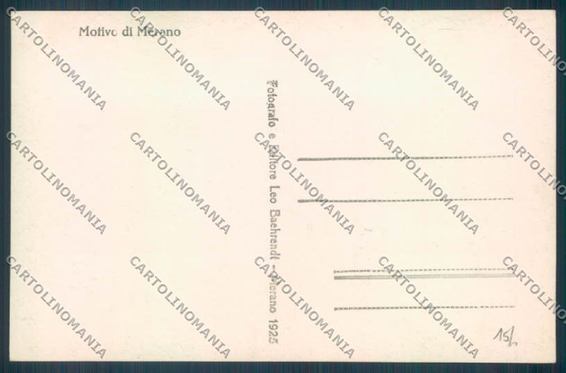 Bolzano Merano Foto cartolina ZT9206 – retro