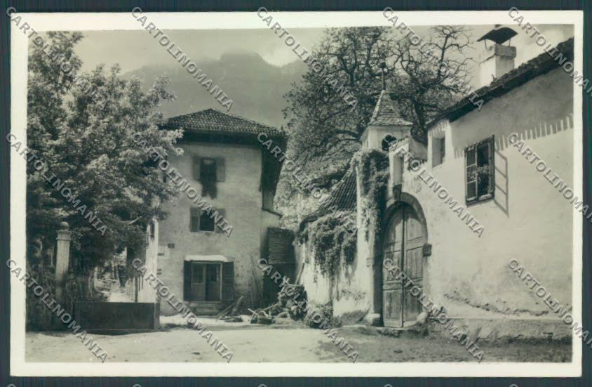 Bolzano Appiano Foto cartolina ZT9265 – fronte