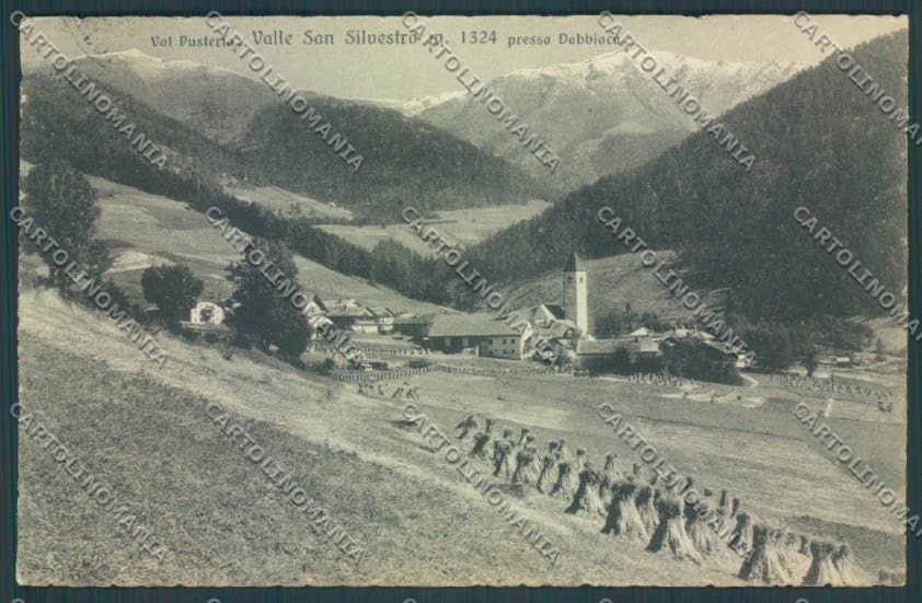 Bolzano Dobbiaco PIEGA cartolina ZT9462 – fronte