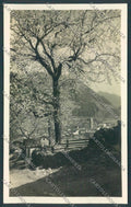 Bolzano Vipiteno Foto cartolina ZT9493 – fronte