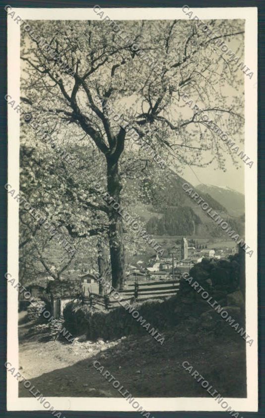 Bolzano Vipiteno Foto cartolina ZT9493 – fronte