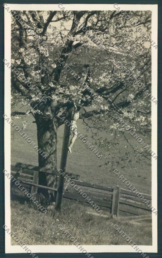 Bolzano Vipiteno Foto cartolina ZT9513 – fronte