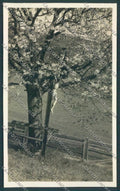 Bolzano Vipiteno Foto cartolina ZT9513 – fronte
