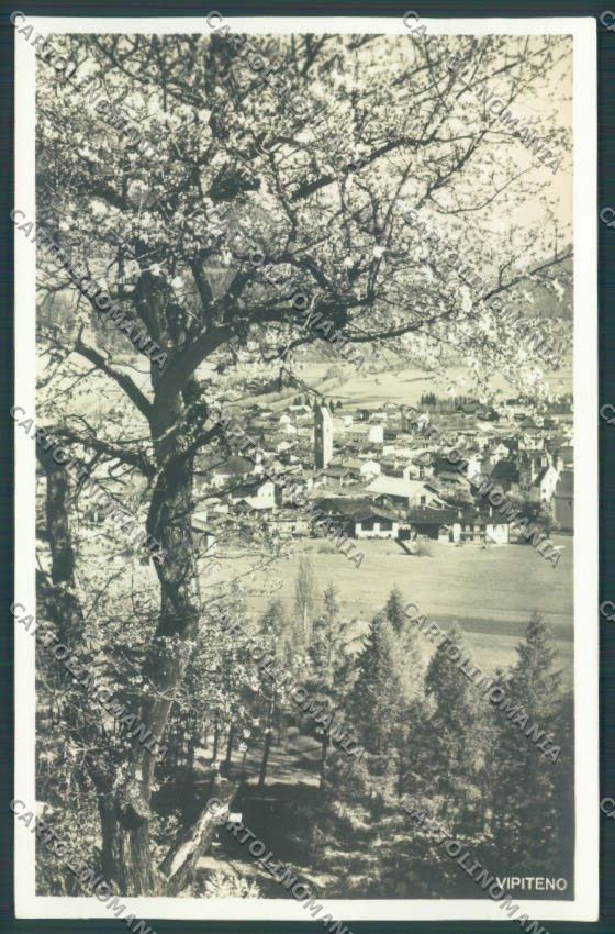 Bolzano Vipiteno Foto cartolina ZT9560 – fronte