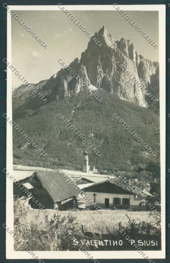 Bolzano Castelrotto Siusi San Valentino Foto cartolina ZT9666 – fronte