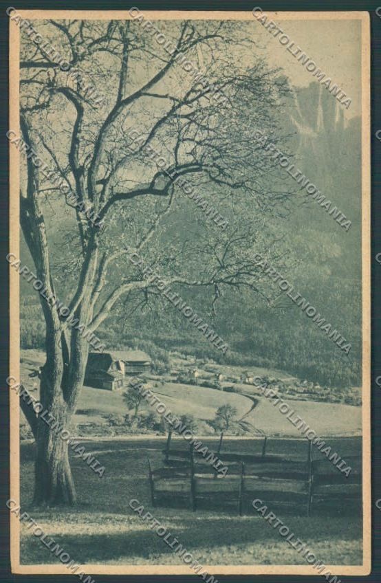 Bolzano Castelrotto Siusi cartolina ZT9718 – fronte