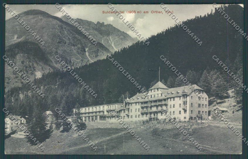 Bolzano Ortles cartolina ZT9779 – fronte