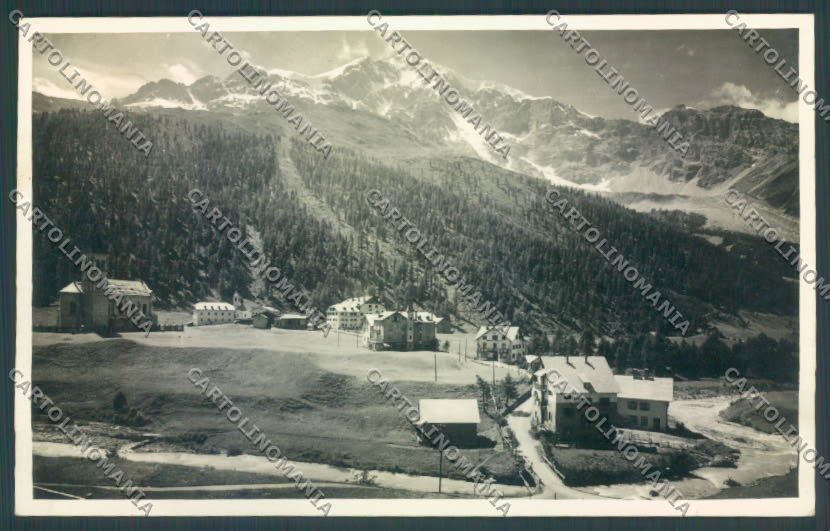 Bolzano Stelvio Solda Santa Gertrude PIEGHINE Foto cartolina ZT9823 – fronte