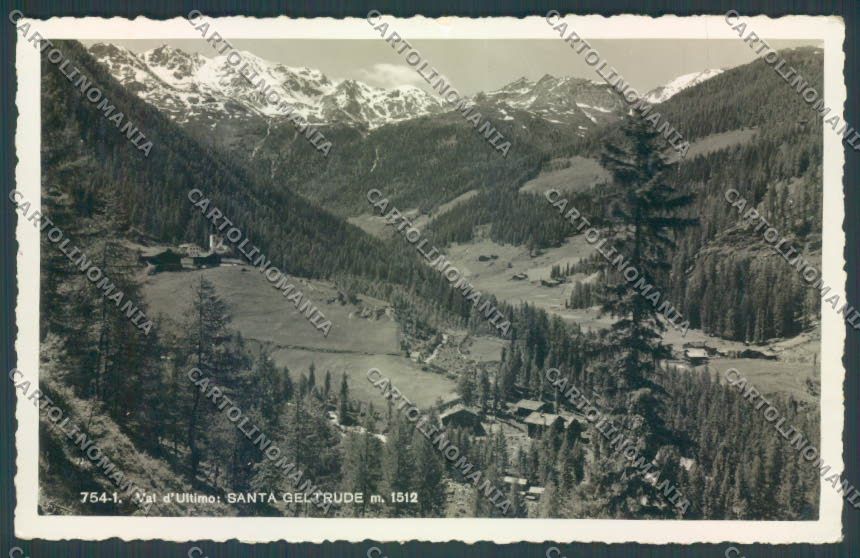 Bolzano Stelvio Solda Santa Gertrude Foto cartolina ZT9824 – fronte