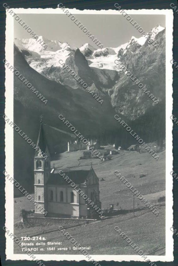 Bolzano Stelvio Trafoi Foto cartolina ZT9992 – fronte